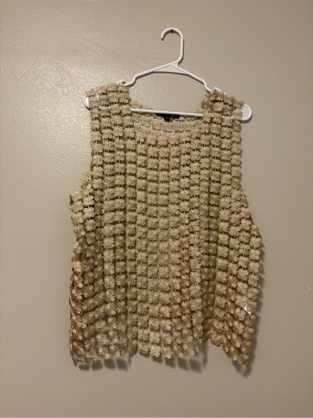 Charlie B Sleeveles Appliqué Sheer Tank Top in Champagne - Picture 4 of 6